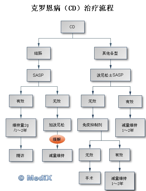 吃完饭就拉肚子是怎么回事？深度解析餐后腹泻的常见原因及应对方法