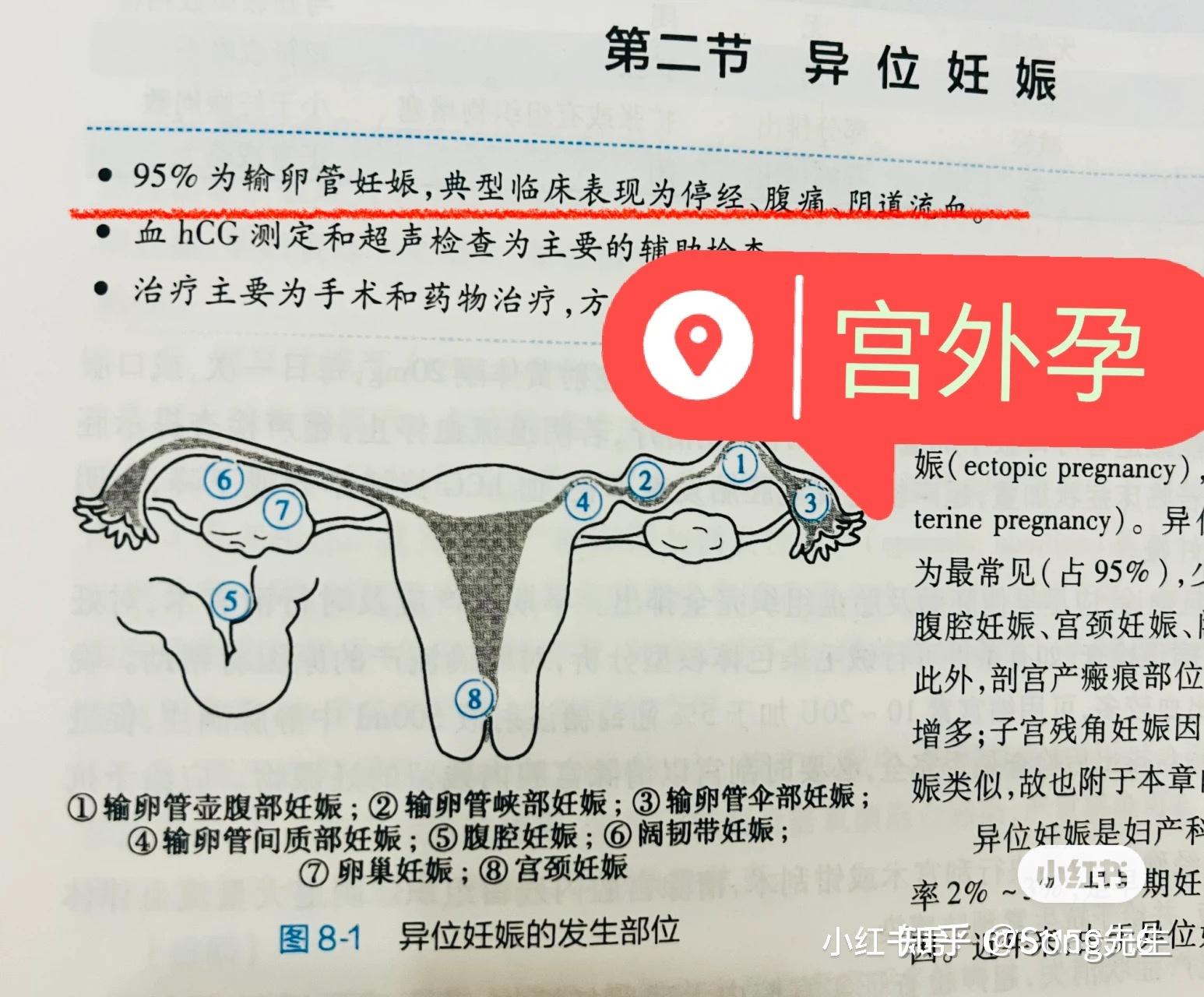 详解女性怀孕过程：从排卵到着床的奥秘