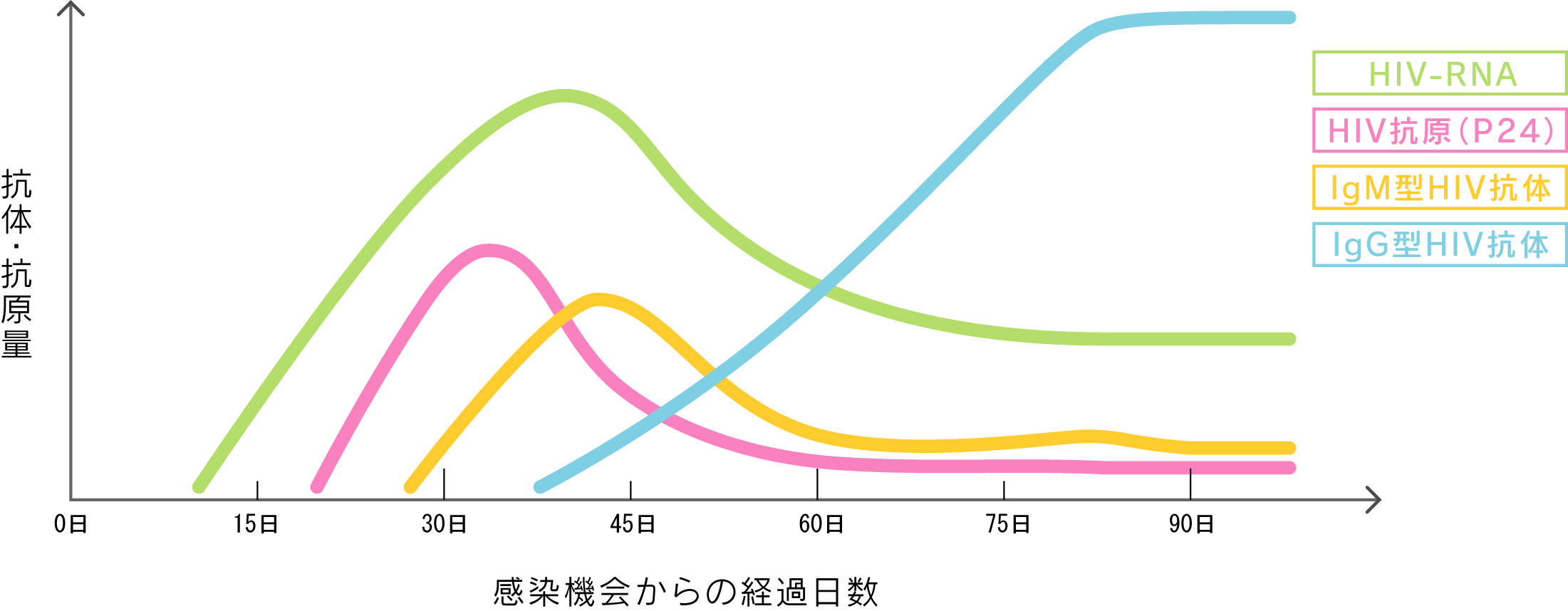 淋巴细胞绝对值偏低是怎么回事？深度解析及应对策略