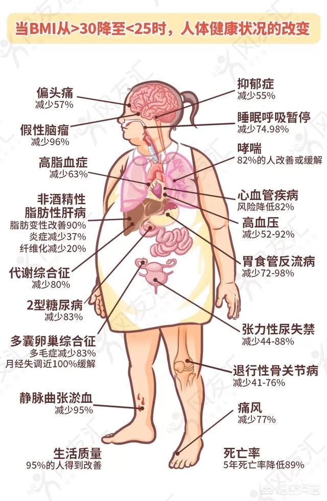 怎么样才能快速减肥？科学方法与潜在风险深度解析