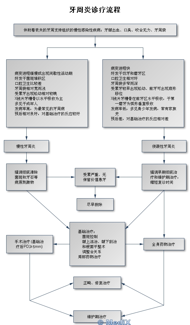 牙松动了怎么处理？专业解读及应对策略