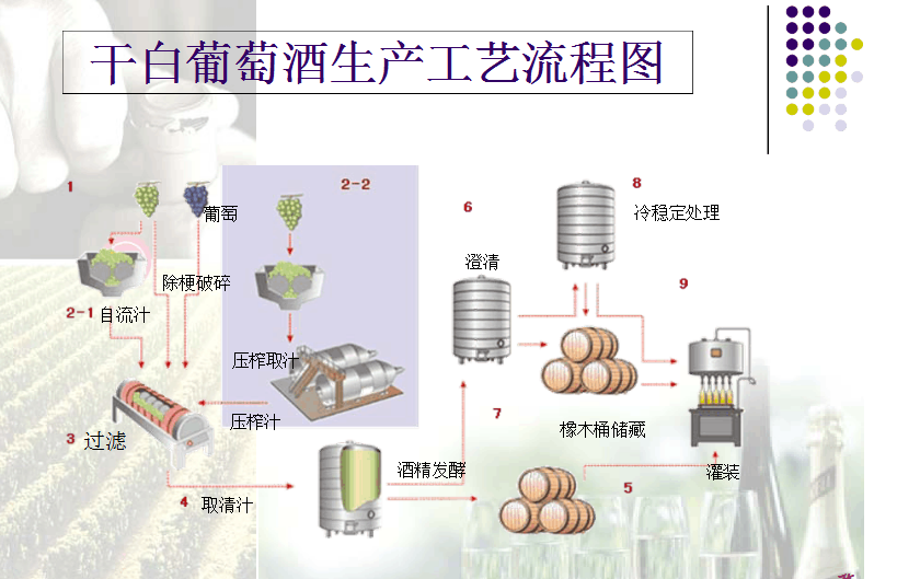 葡萄怎么吃最好？营养价值、最佳食用方法及潜在风险深度解析