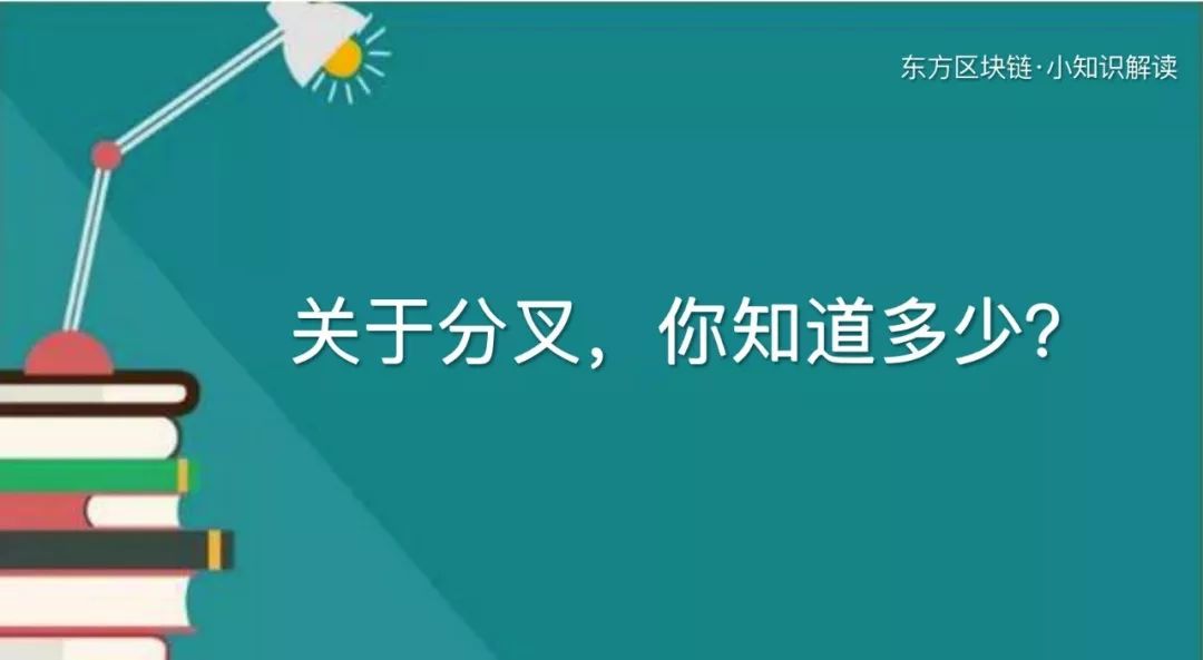 头发分叉怎么办？拯救受损发质的全面指南