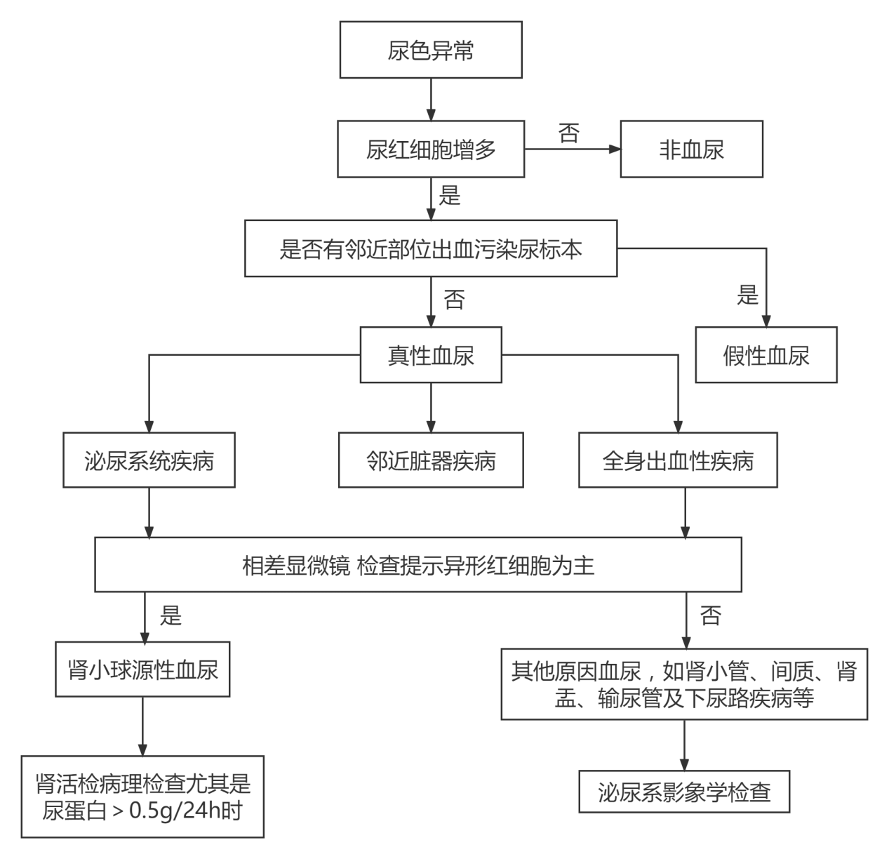 尿潜血是怎么引起的？深度解析潜血尿检结果及常见病因