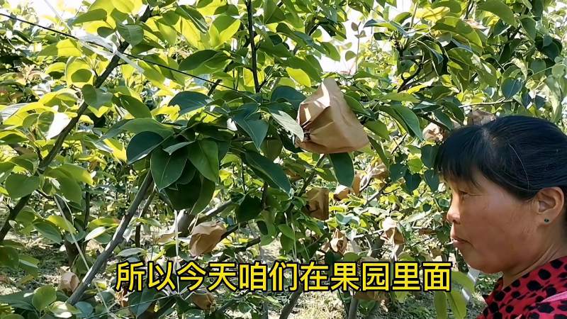 钥匙套安装全攻略：不同类型钥匙套的安装方法及注意事项