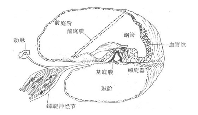 蜕变新生 第36页