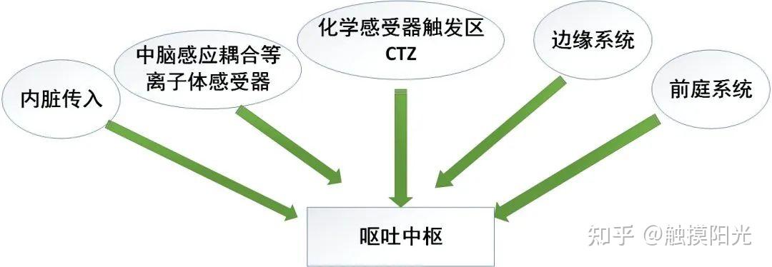 经常恶心想吐是怎么回事？深度解析恶心呕吐的常见原因及应对方法