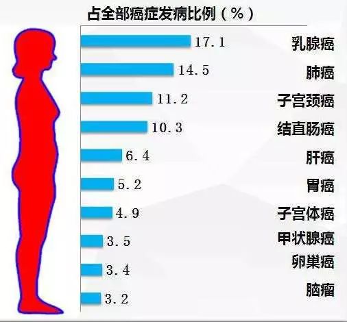 怎么让胸变得更大更软？深度解析丰胸方法及潜在风险