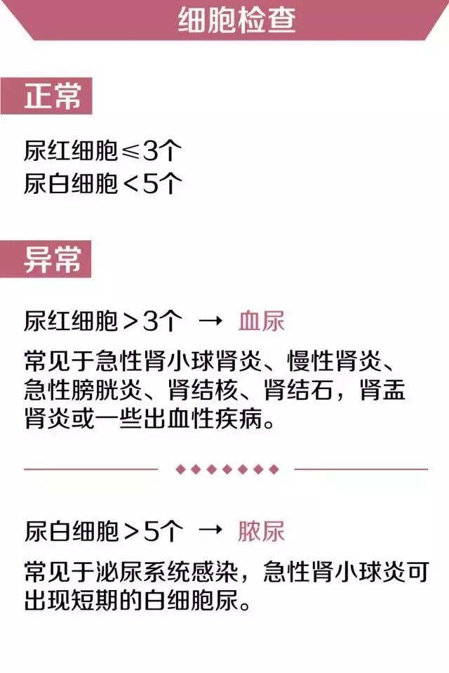 尿泡沫多是怎么回事？解读尿液泡沫增多的原因及应对方法