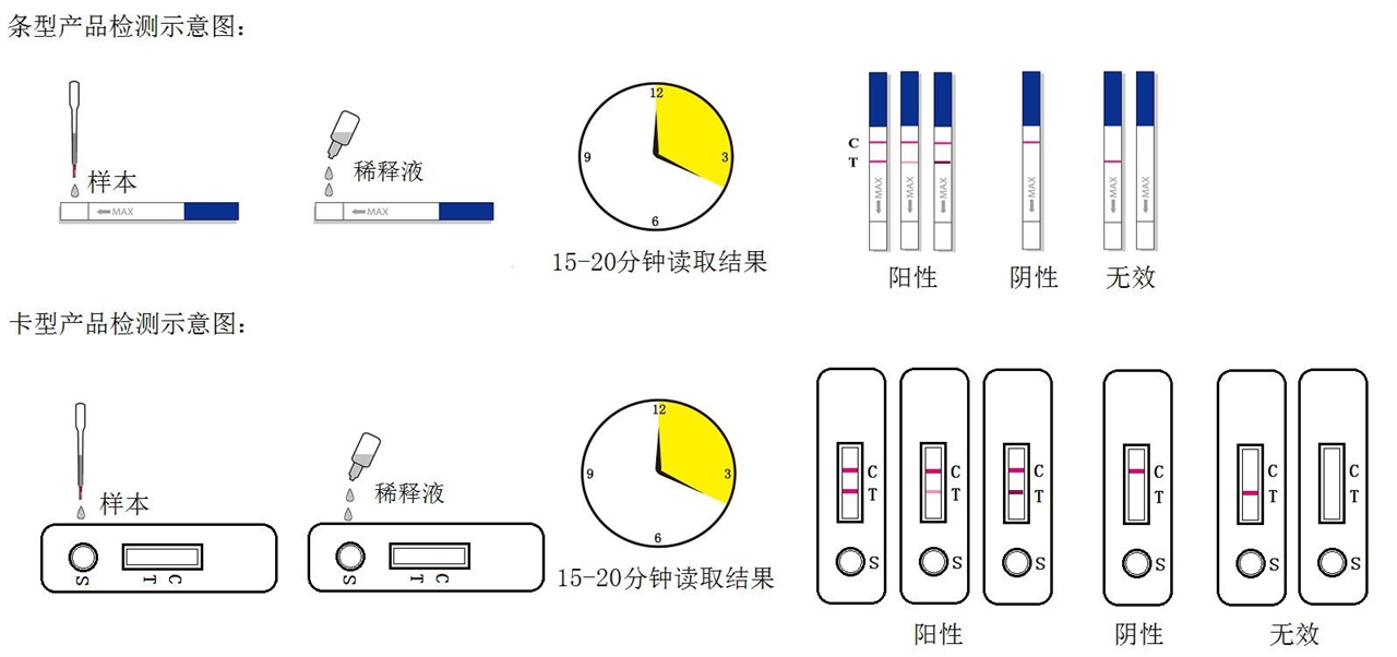 支原体是怎么感染的？详解感染途径、致病机制及预防措施