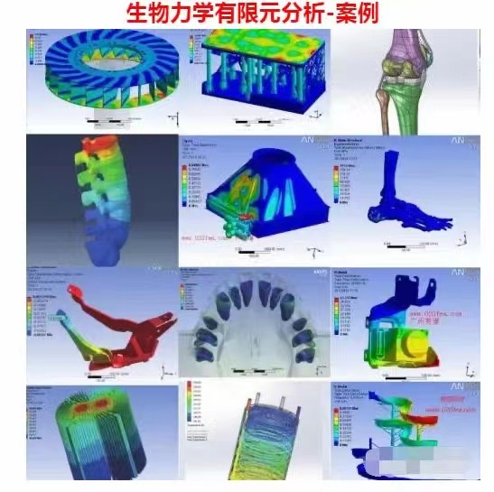 光与影的奇妙世界：深入探究影子是怎么形成的？