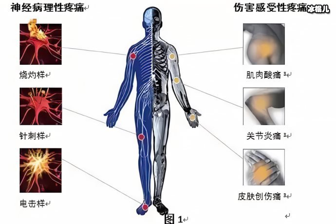 头部神经一跳一跳的痛怎么办？神经痛的成因、缓解方法及预防措施