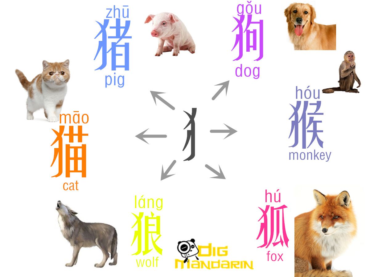 反犬旁怎么写？详解反犬旁的写法及相关汉字