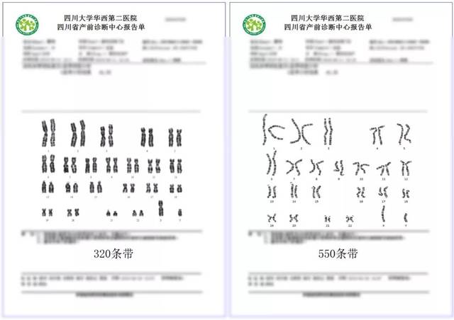 人们用英语怎么说：从语言学角度到文化交流的深入分析