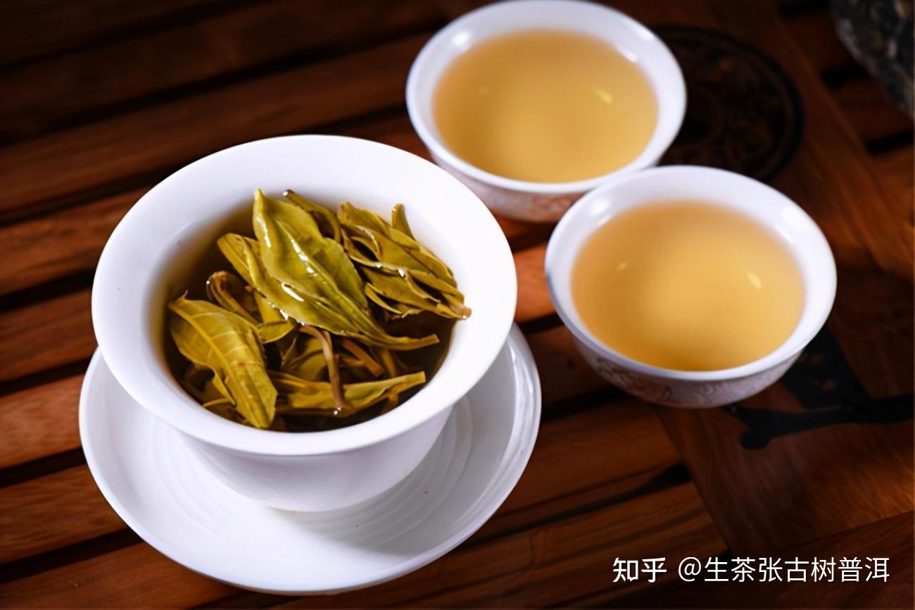 生普洱茶怎么泡才正确方法？掌握冲泡技巧，品味醇厚茶香