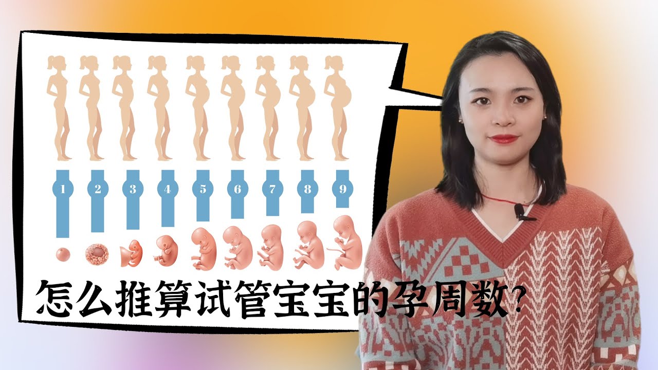 孕周期是怎么算的？详解孕期计算方法及相关知识