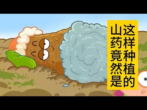 山药手痒怎么简单快速止痒？实用止痒方法及预防措施详解