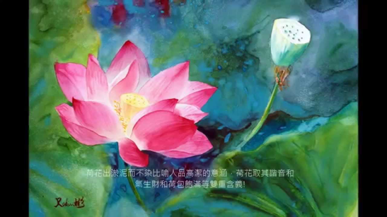 荷花怎么画视频教程：从零基础到惊艳作品的完整指南