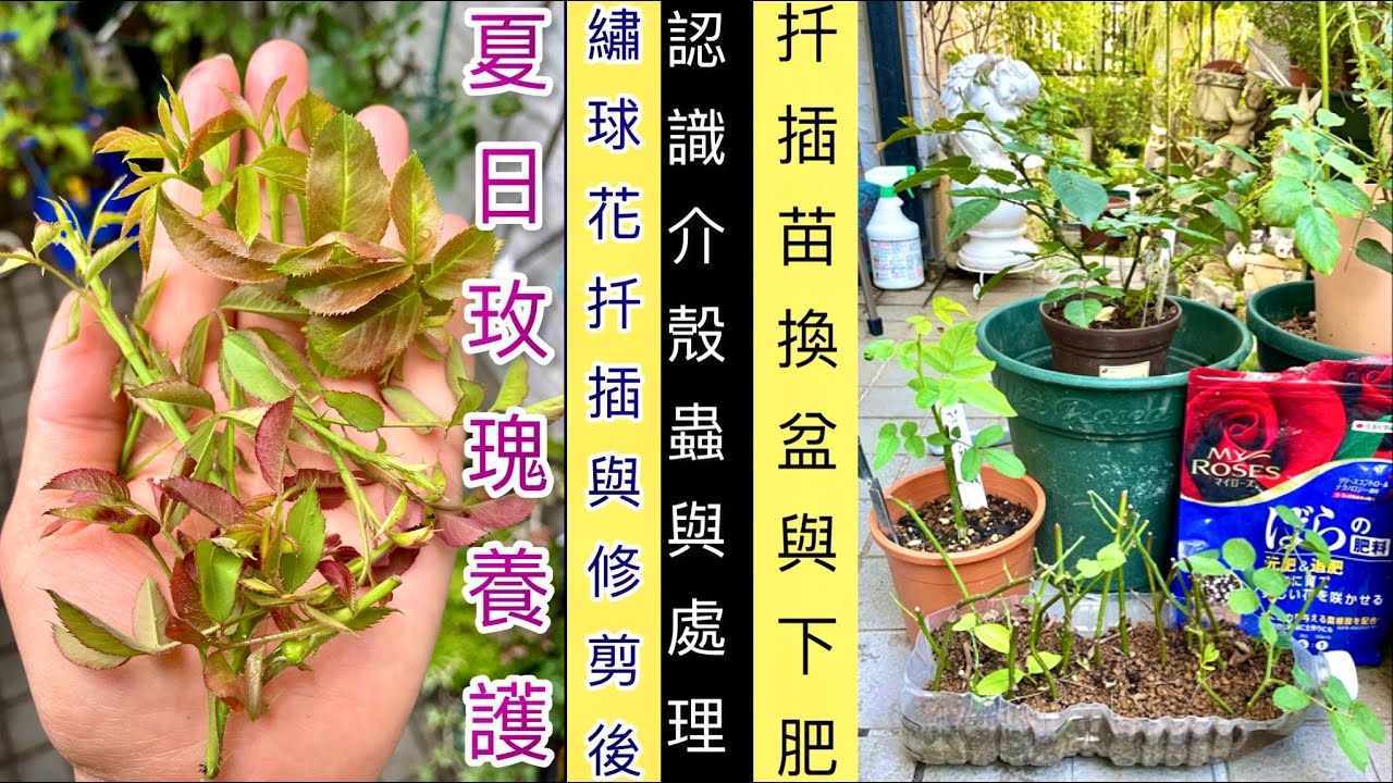 寻找自我 第12页