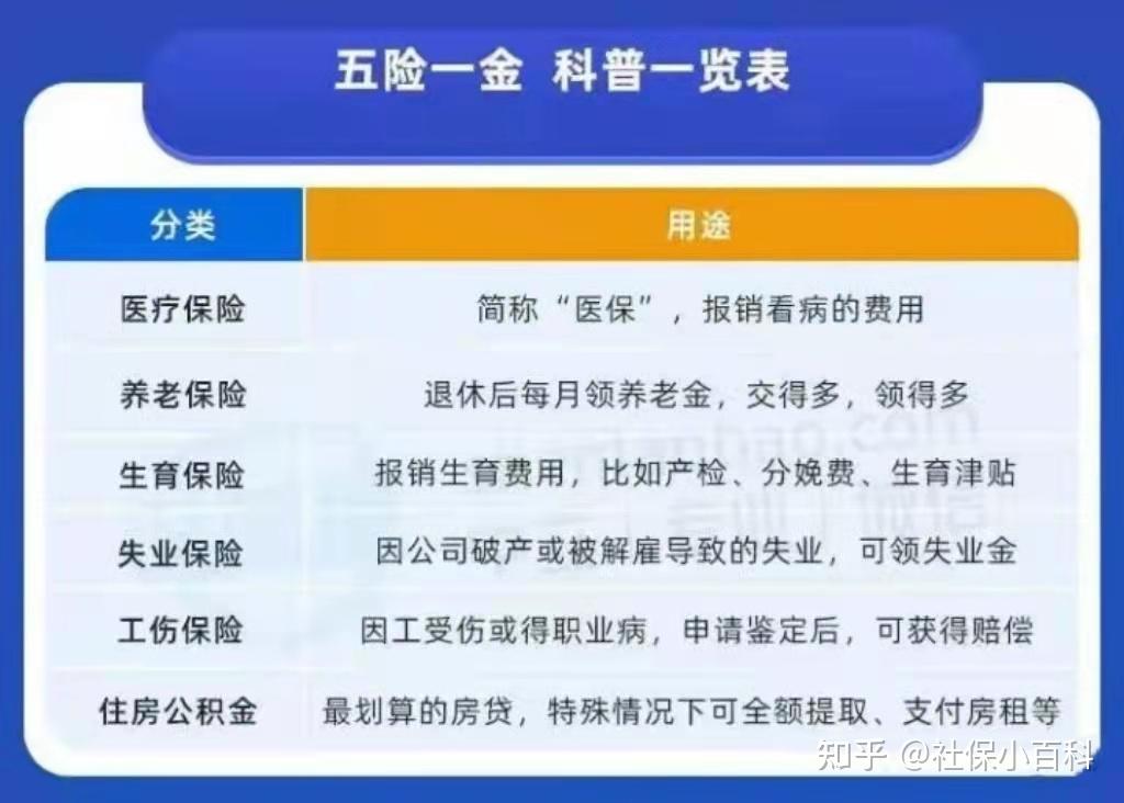 五险一金怎么查询？详解多种查询方法及注意事项