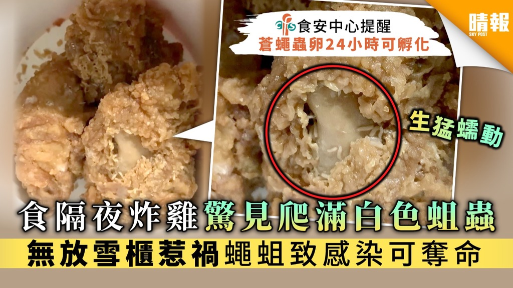 蛆是怎么形成的？揭秘苍蝇繁殖与蛆虫发育的奥秘