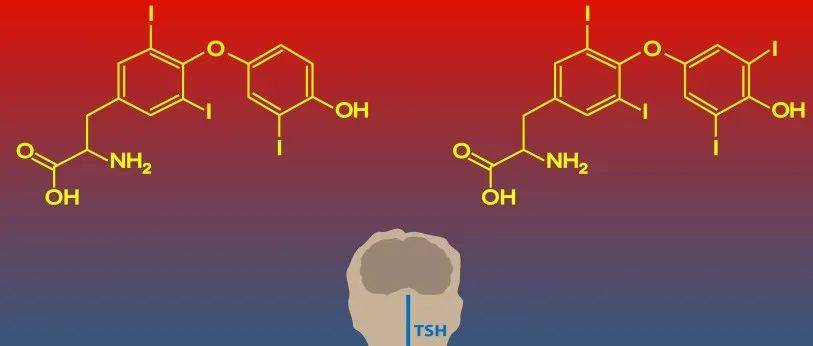 胆红素高是怎么回事？详解高胆红素血症的成因、症状及治疗