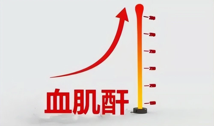 肌酐106严重吗？怎么办？深度解析及应对策略