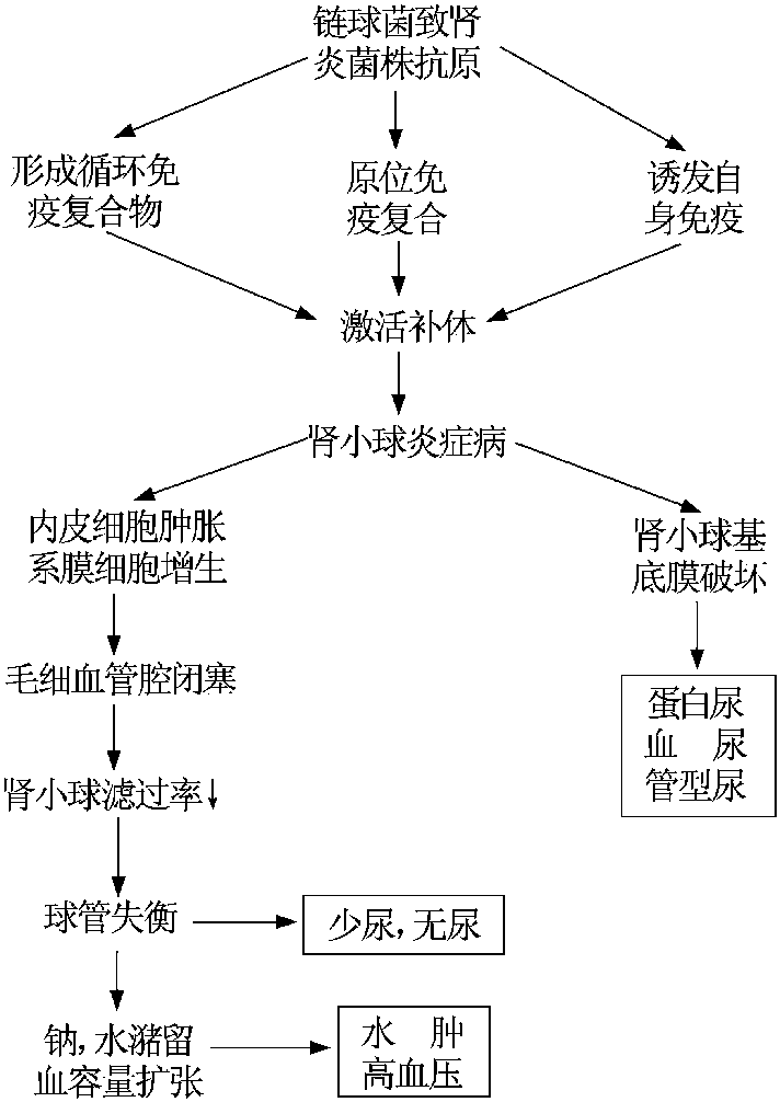 清风明月夜 第53页