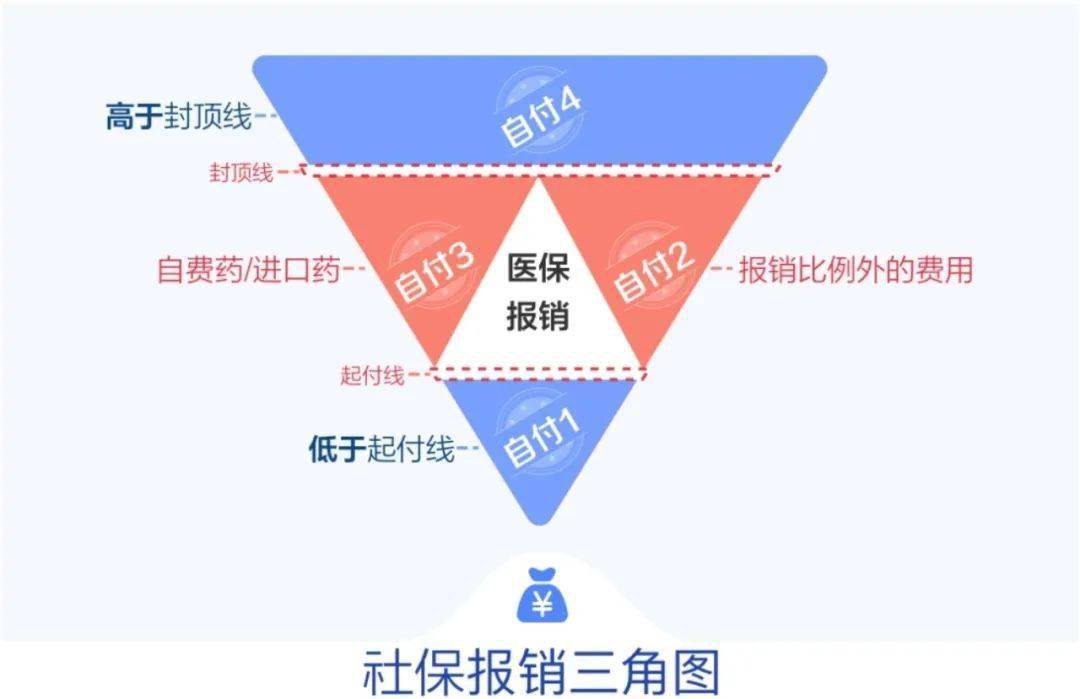 大学生医保报销指南：流程、政策及常见问题详解