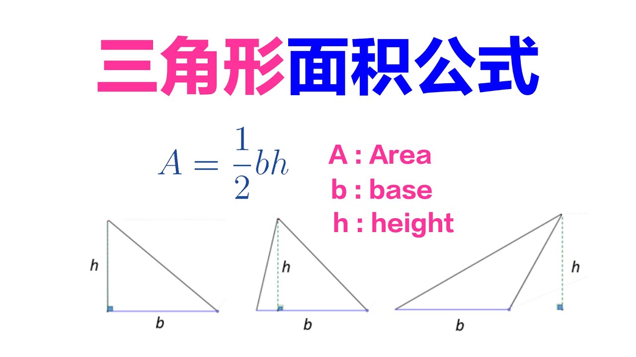 三角形面积怎么求？完全包括各种方法及实例解析