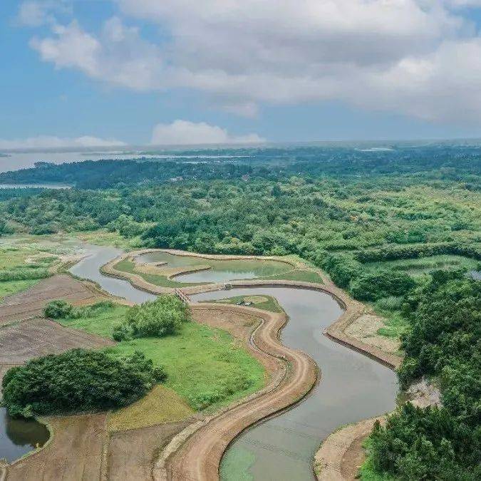 聚焦溧水：深度解读溧水新闻网今日最新新闻及未来发展趋势