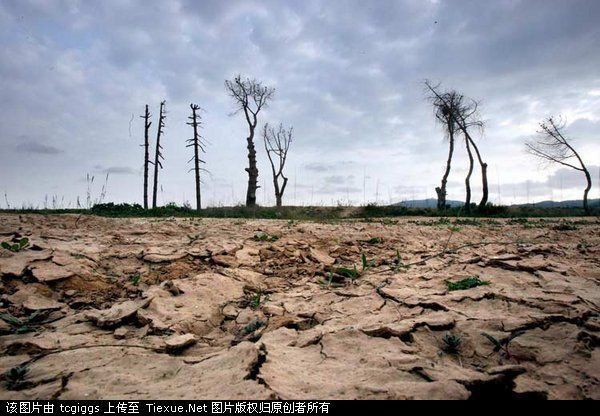 最新加州大火：持续高温与干旱加剧火灾风险，生态环境面临严峻挑战