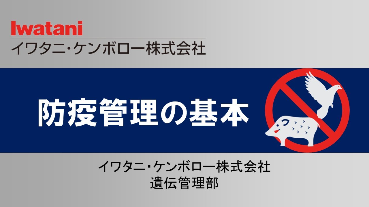 最新病情肺炎深度解析：疫情防控新形势下肺炎的现状、挑战与未来