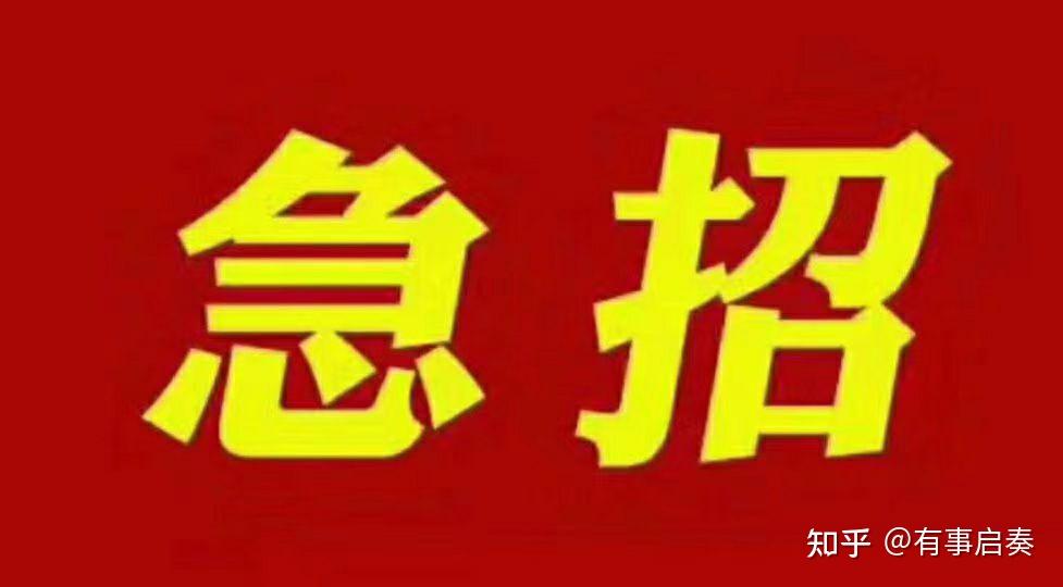 青白江区最新司机招聘信息：待遇、要求及未来发展趋势