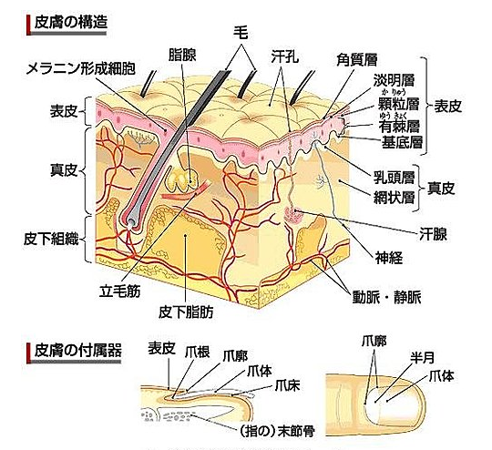 乘风破浪 第3页