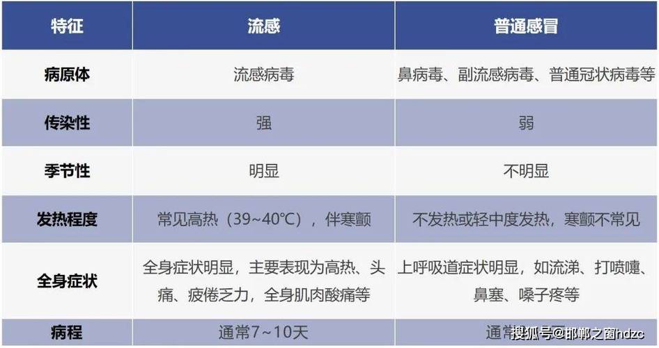 铜隆最新流感警发：风险分析与防范建议