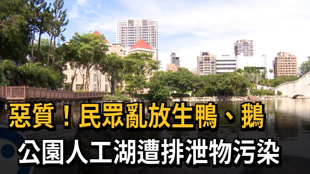 台前人工湖最新消息：建设进展、周边配套及未来规划深度解读