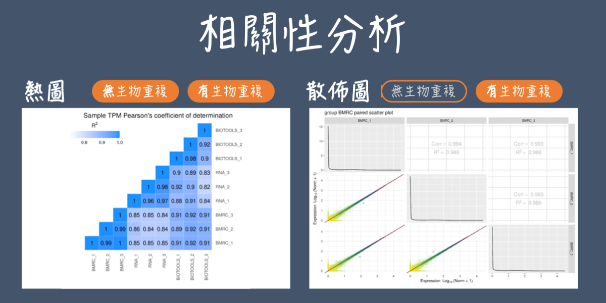 版权问题