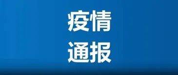 权威解读：市最新通告及对市民生活的影响与未来展望