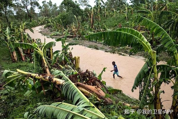 2024海棠台风最新消息：路径预测、影响地区及防御指南