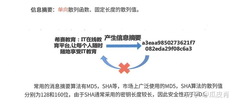 19ise最新页面访问升级：体验优化、安全防护与未来展望