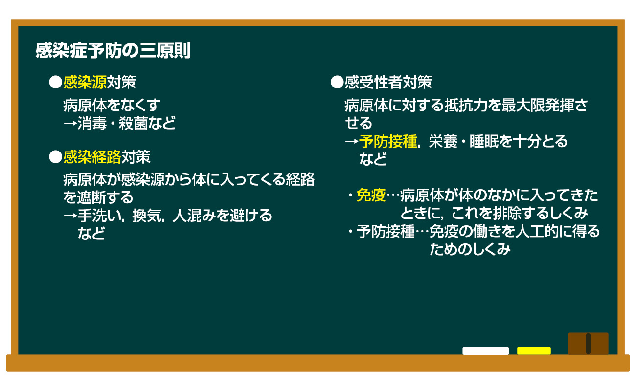 最新防疫码解析：安全保障与新型发展趋势