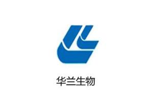 华兰最新动态：技术革新、市场竞争及未来发展趋势深度解析