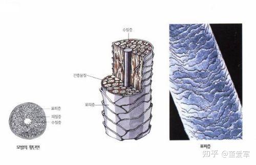 头发怎么烫好看？2024年最新烫发潮流趋势及脸型搭配指南