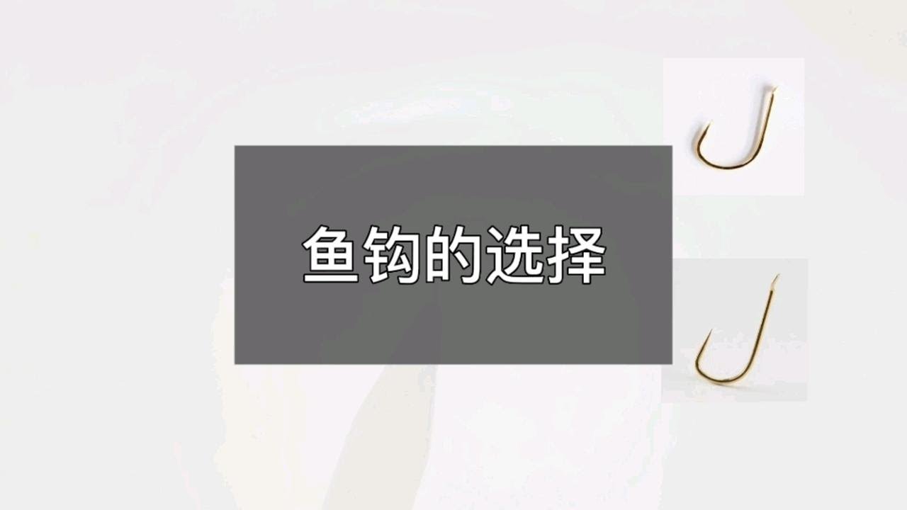 怎么样钓鲤鱼？从入门到精通的完整指南