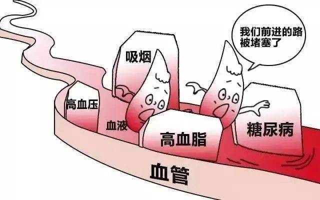 血黑怎么回事？深度解析血液颜色异常的多种原因及应对方法